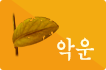 �ҿ� �ǿ�